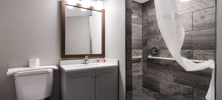 经济之旅酒店波蒂奇(Econo Lodge Portage)图片