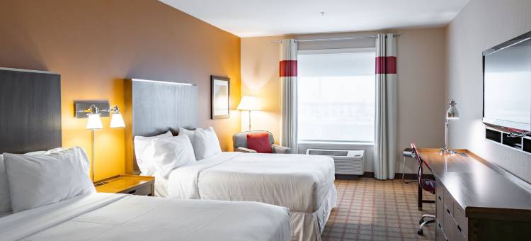 福朋喜来登酒店-埃德蒙顿国际机场(Four Points by Sheraton Edmonton International Airport)图片