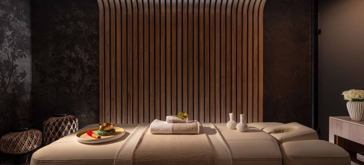 尼斯安纳塔拉广场酒店 - 立鼎世酒店集团(Anantara Plaza Nice)图片