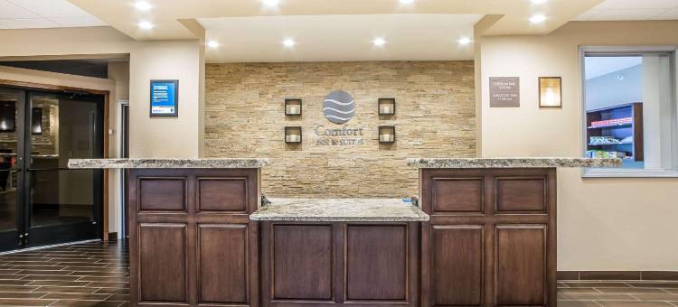 舒适套房酒店-近拉什莫尔山(Comfort Inn & Suites Near Mt Rushmore)图片