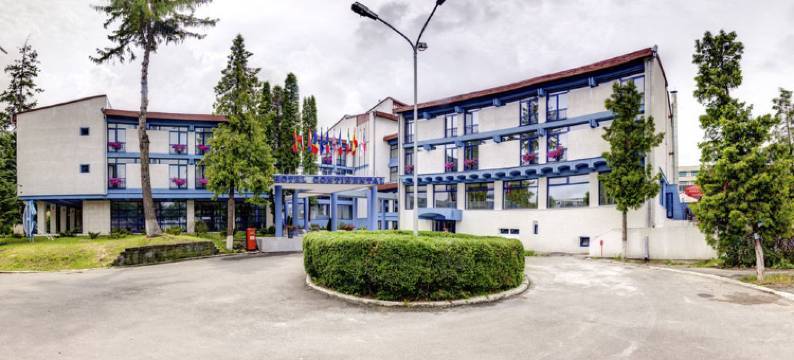 苏恰瓦大陆酒店(MyContinental Suceava)图片