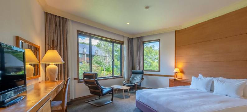 白马塞拉度假村(Hotel Sierra Resort Hakuba)图片