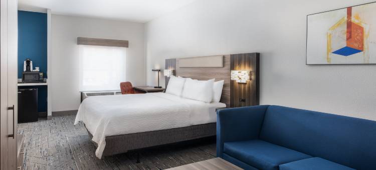 Holiday Inn Express LITHIA弹簧(Holiday Inn Express ATLANTA WEST - THEME PARK AREA by IHG)图片