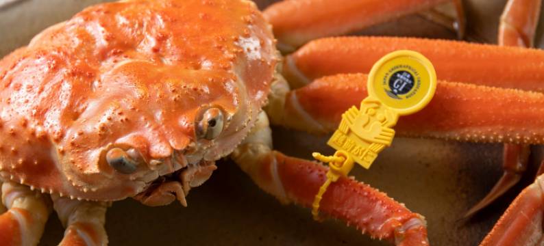 杣山花莲温泉酒店(Hanahasuonnsenn Somayama)图片