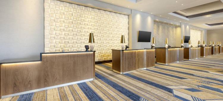 希尔顿俱乐部伊拉拉拉斯维加斯(Hilton Club Elara Las Vegas)图片