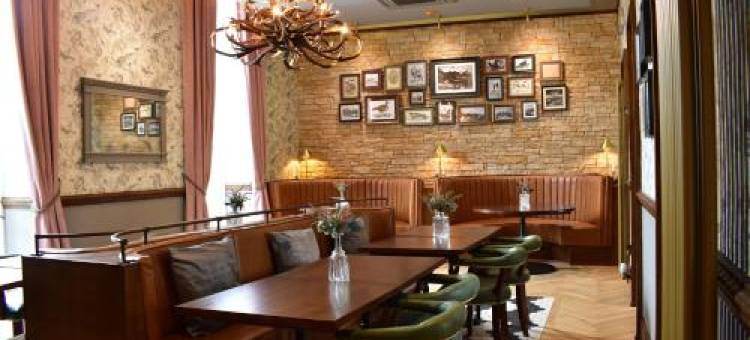 圣家庭旅馆(Rooms at the Saint)图片