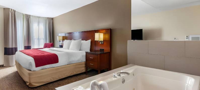 日内瓦西芝加哥舒适套房酒店(Comfort Inn & Suites Geneva- West Chicago)图片