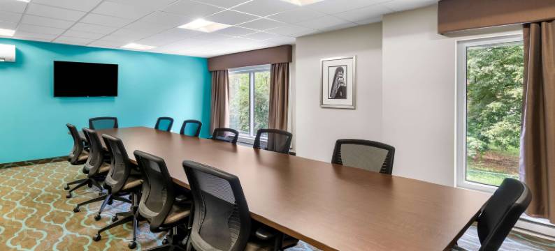 蒙特利尔贝斯特韦斯特优质酒店(Best Western Plus Hotel Montreal)图片