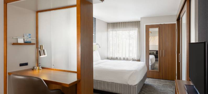 威斯康星戴尔斯SpringHill Suites酒店(SpringHill Suites Wisconsin Dells)图片