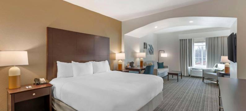 舒适酒店及套房维罗纳在转石度假村娱乐场(Comfort Inn & Suites Verona at Turning Stone Resort Casino)图片