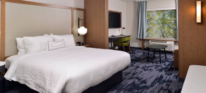 坎顿万豪万枫套房酒店(Fairfield Inn & Suites Canton)图片
