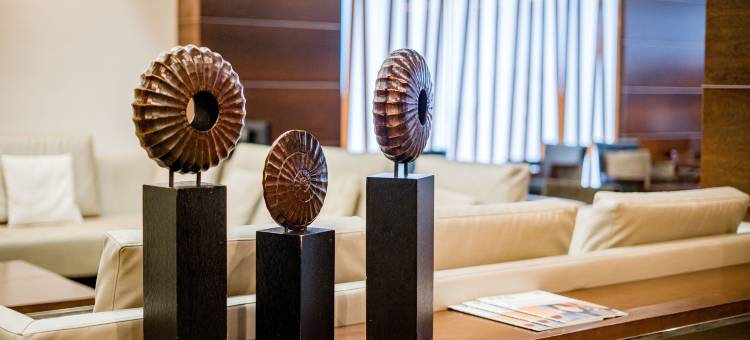 孔波斯特拉酒店(Hotel Compostela)图片