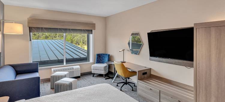 沃尔顿海滩-伊格林地区快捷假日酒店(Holiday Inn Express & Suites Fort Walton Beach - Eglin Area)图片