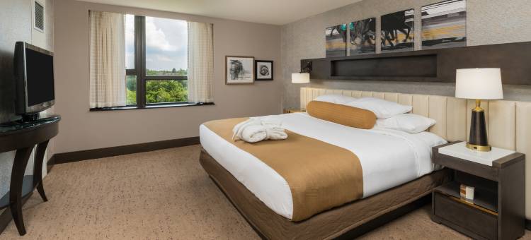 萨拉托加希尔顿酒店(The Saratoga Hilton)图片