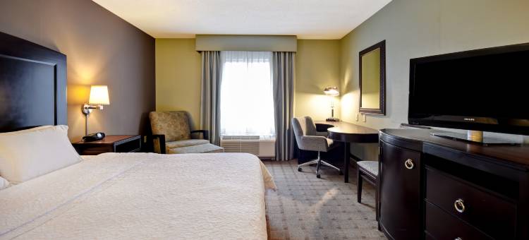 底特律坎顿欢朋套房酒店(Hampton Inn & Suites Detroit-Canton)图片