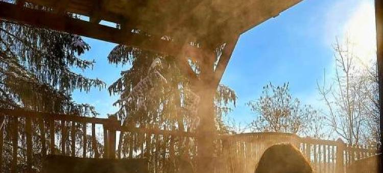 Le château des fées图片