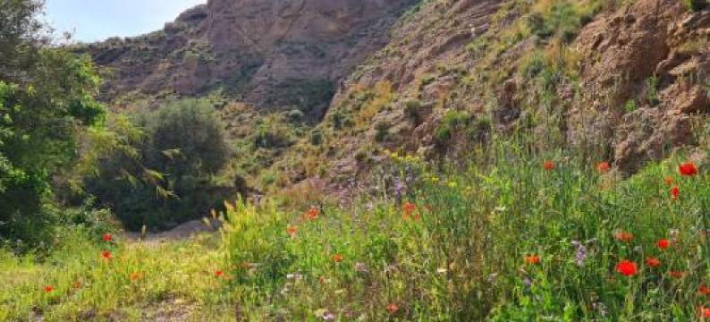 Casa Tropical, Serene Poolside Retreat in Nature图片