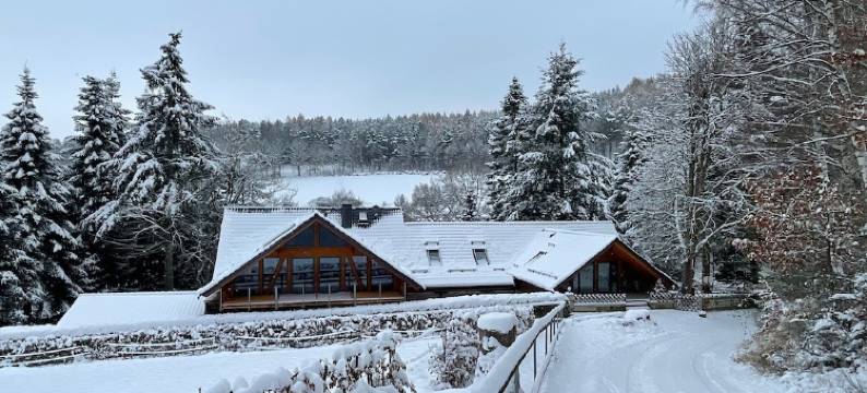 Recreation in the forest - with swimming pool!图片
