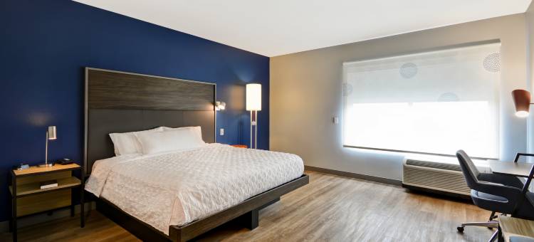 TRU - 温彻斯特希尔顿酒店(Tru by Hilton Winchester)图片