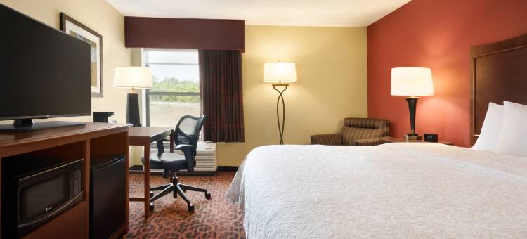 希尔顿欢朋酒店-巴特尔克里克(Hampton Inn Battle Creek)图片