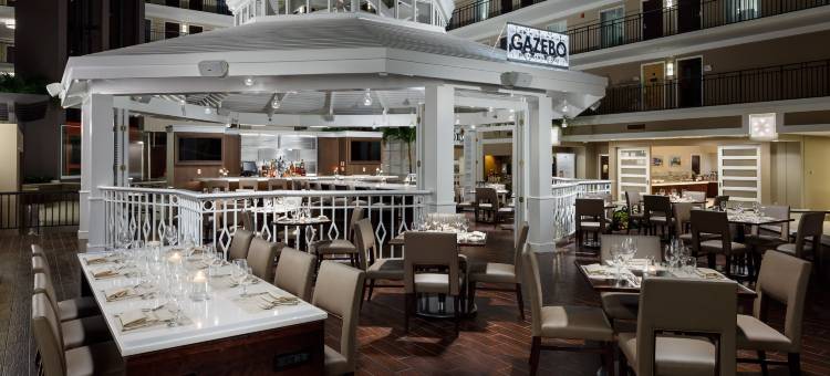 希尔顿旗下奥兰多布埃纳维斯塔湖度假村大使套房酒店(Embassy Suites by Hilton Orlando Lake Buena Vista Resort)图片