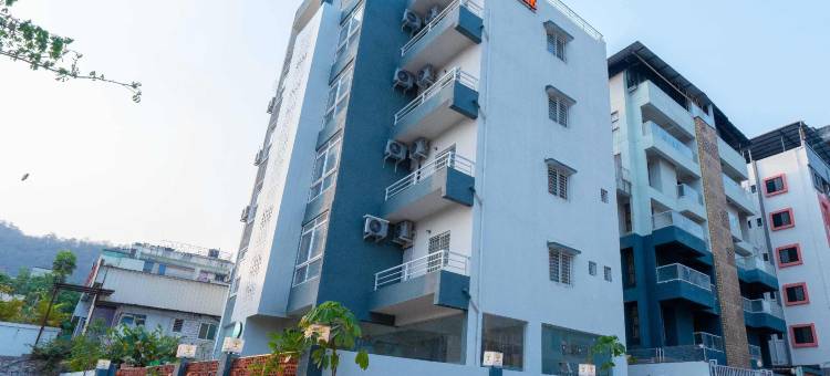 Treebo the Tree图片