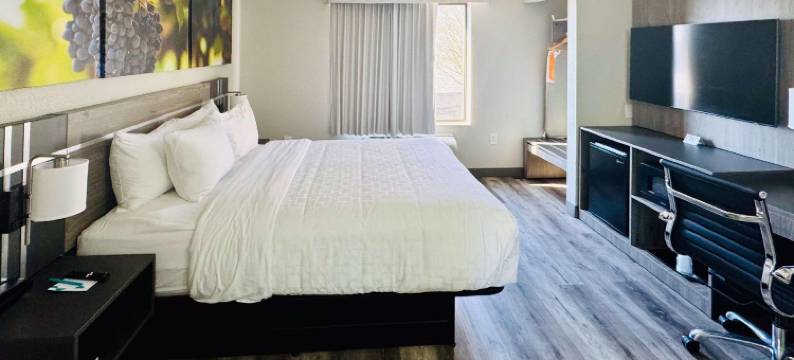 克拉丽奥波因特阿尔贝马尔(Clarion Pointe Albemarle)图片