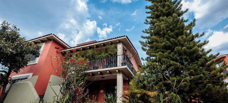 圣菲利浦小屋(Bungalows San Felipe)图片