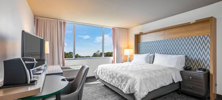 Holiday Inn 巴拿马城(Holiday Inn Panama City)图片