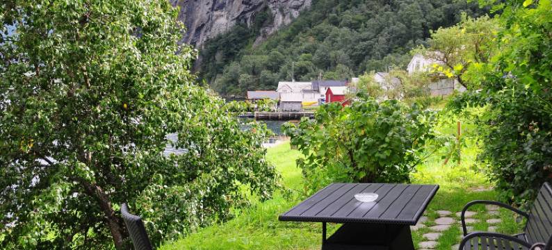 参观昂德瑞戴尔酒店(Visit Undredal)图片