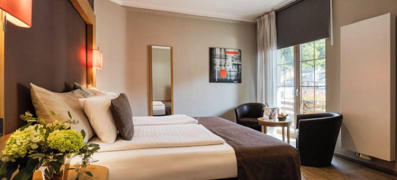 杜肯梅里策酒店(Hotel du Commerce)图片