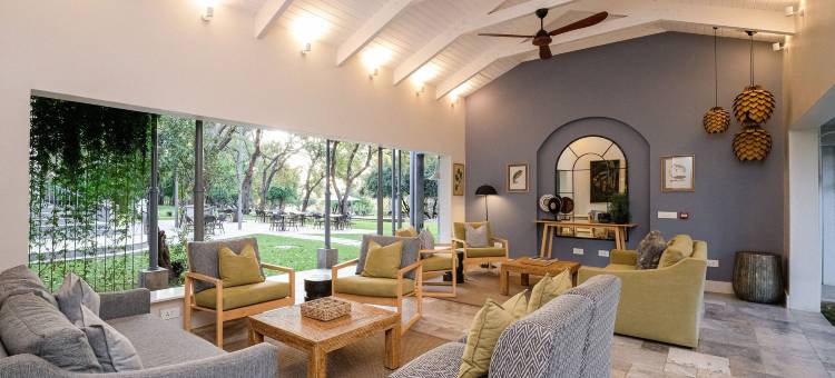 棕榈河酒店(Palm River Hotel)图片