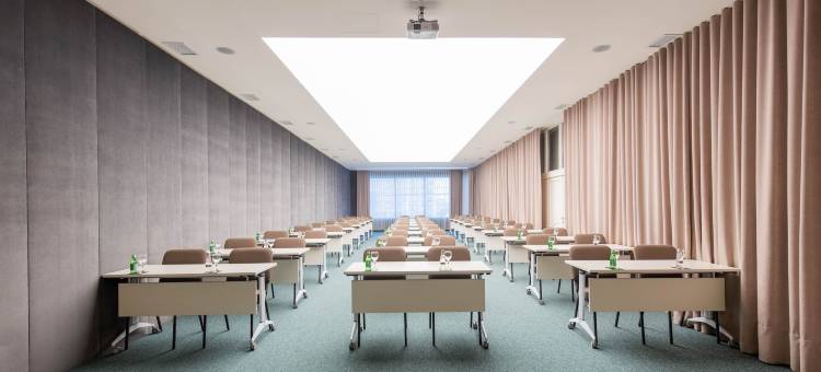 阿法酒店(Hotel Afa)图片