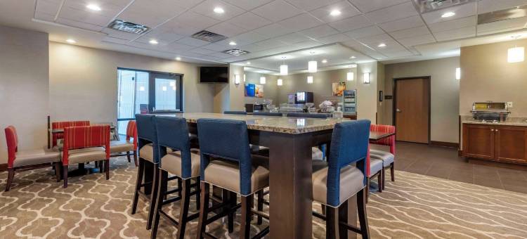舒适套房酒店-桥港市克拉克斯堡(Comfort Suites Bridgeport - Clarksburg)图片