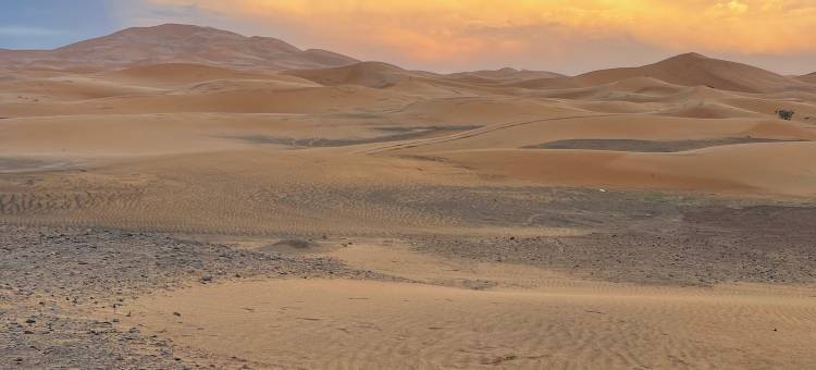 梅尔祖加的里亚德莱斯加登(Riad les Jardins de Merzouga)图片
