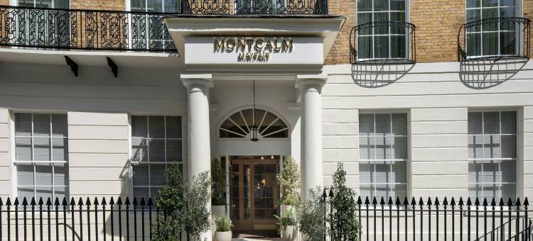 Montcalm Mayfair, Autograph Collection图片