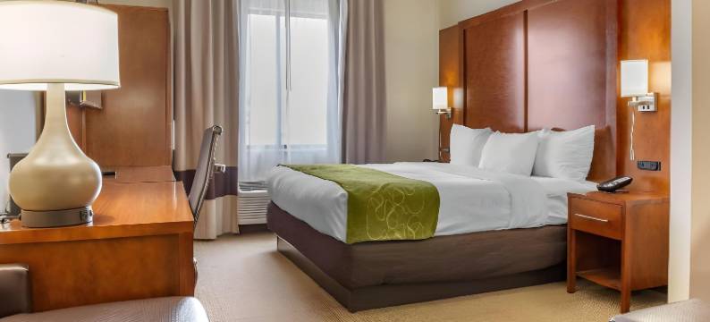 康福特套房多佛大学区(Comfort Suites Dover University Area)图片