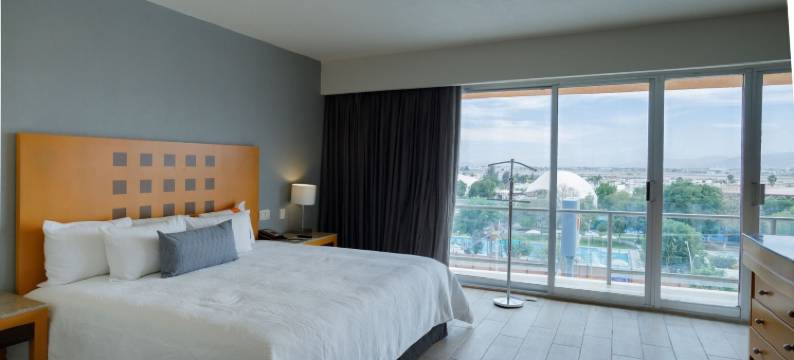 托雷翁里尔旅馆(Real Inn Torreon)图片