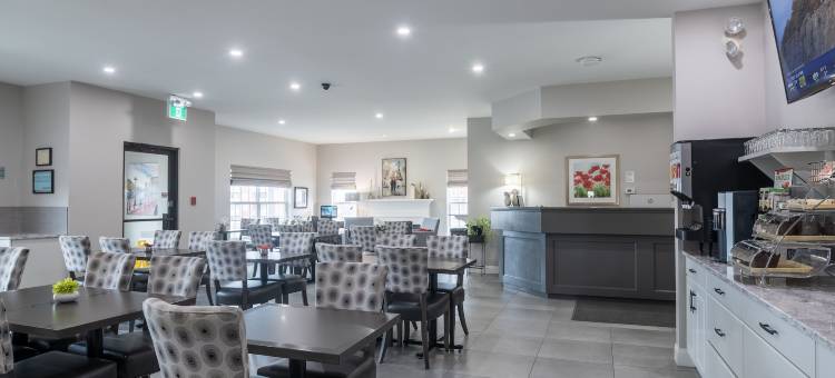 阿姆斯特丹蒙克顿套房酒店(Amsterdam Inn & Suites Moncton)图片