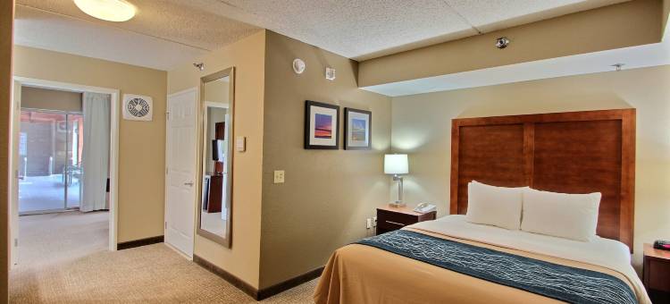 杰克逊舒适套房酒店 - 西区(Comfort Inn & Suites Jackson - West Bend)图片