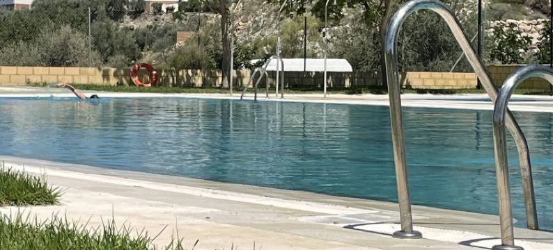 橄榄&常春藤旅馆(Olive & Ivy Guesthouse)图片