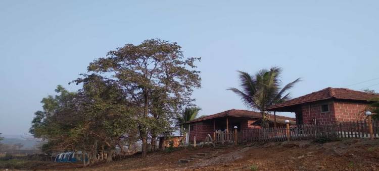 科拉德坎皮斯塔酒店(Campistaan Kolad)图片