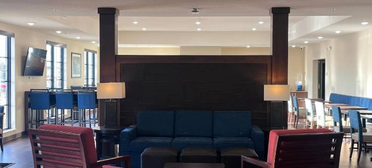 北曼凯托舒适酒店及套房(Comfort Inn & Suites)图片