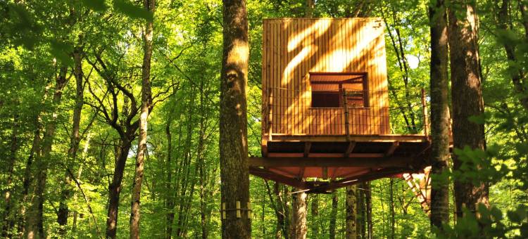 福乐托太空小屋酒店(Cabanes de l'Espace Fouletot)图片