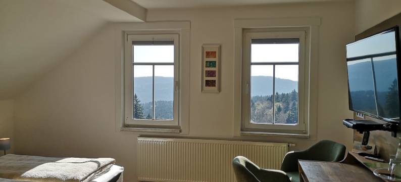 斯科恩奥西赫特酒店(Hotel Schöne Aussicht)图片