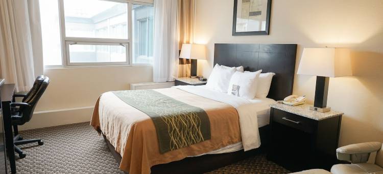 舒适酒店及套房(Comfort Inn & Suites)图片