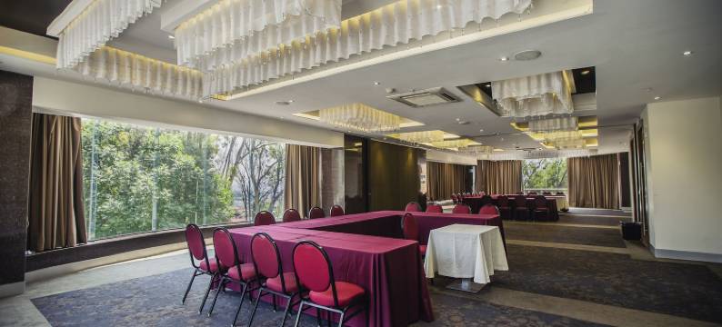 JF 格兰特普耶布拉酒店(JF Grand Puebla)图片