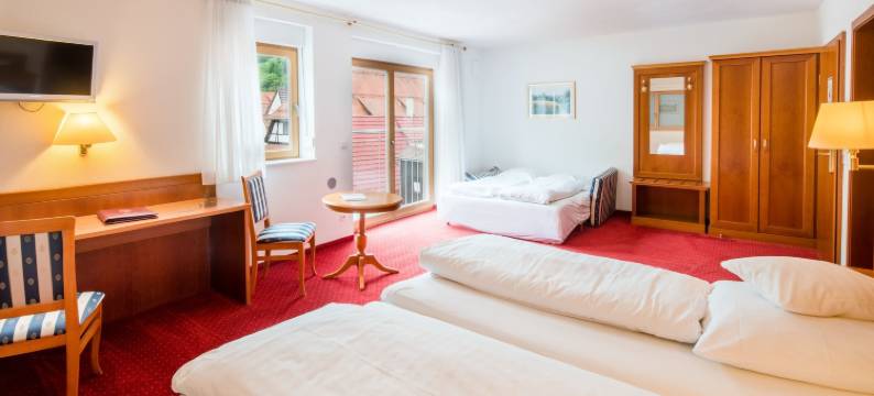 奥赫森餐厅旅馆(Hotel-Restaurant Ochsen)图片