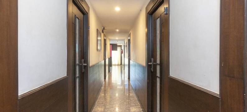 苏米宫酒店(Hotel Sumi Palace)图片