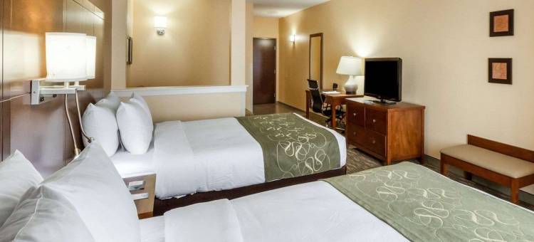 科图拉I-35附近舒适套房酒店(Comfort Suites Cotulla Near I-35)图片